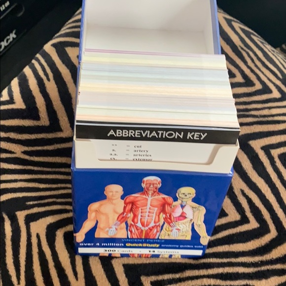 Anatomy flash cards - Picture 4 of 5